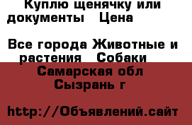Куплю щенячку или документы › Цена ­ 3 000 - Все города Животные и растения » Собаки   . Самарская обл.,Сызрань г.
